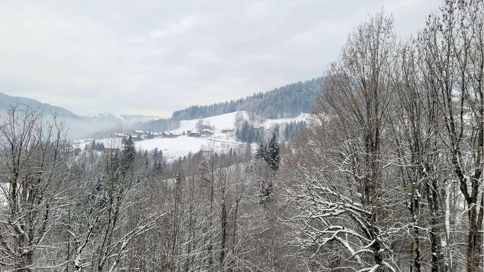 Studio Renove Avec Cabine Pour 4 Pers, Calme A Le Grand-Bornand - Fr-1-458-199 Frankrike