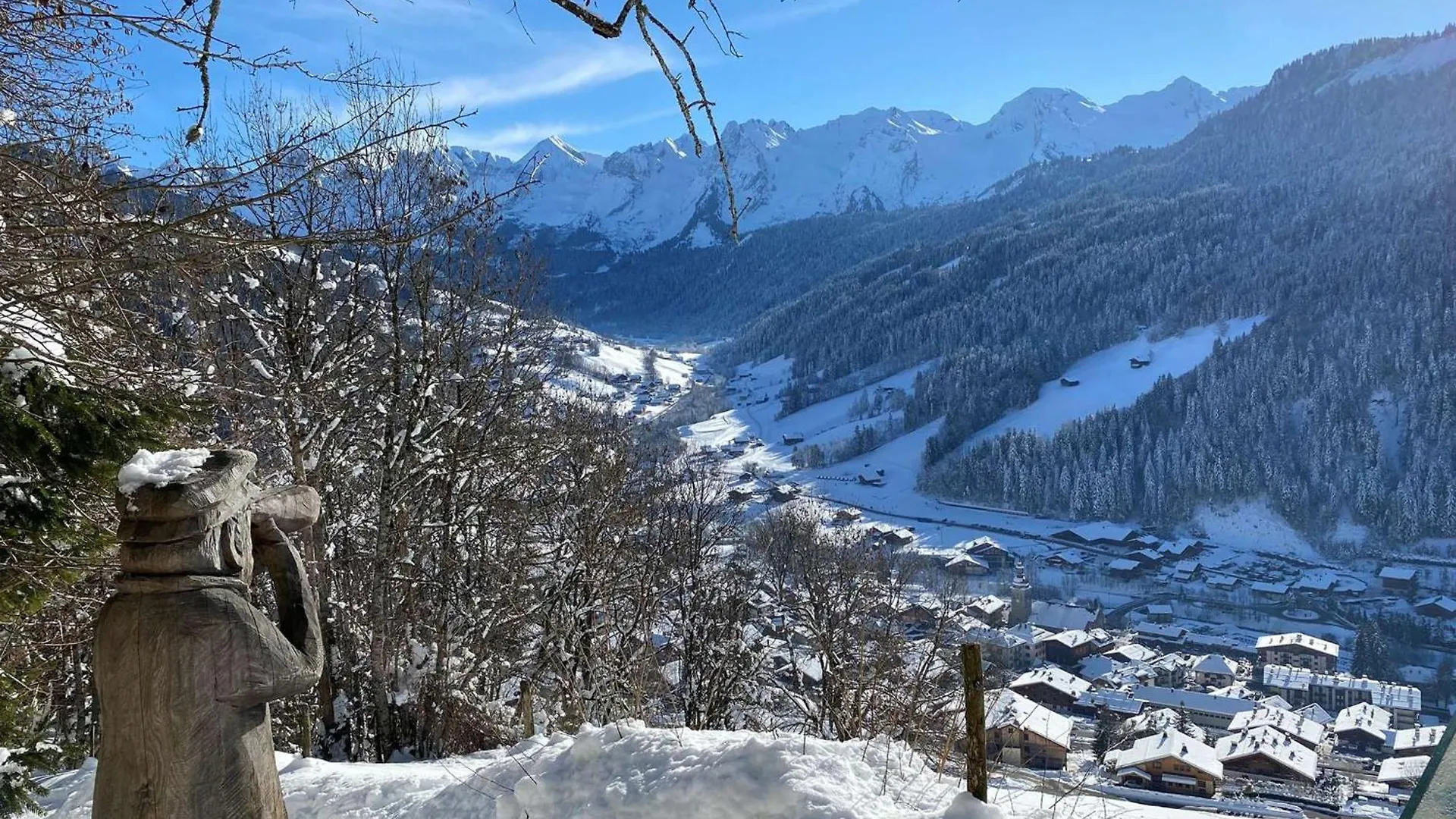 Studio Renove Avec Cabine Pour 4 Pers, Calme A Le Grand-Bornand - Fr-1-458-199 아파트